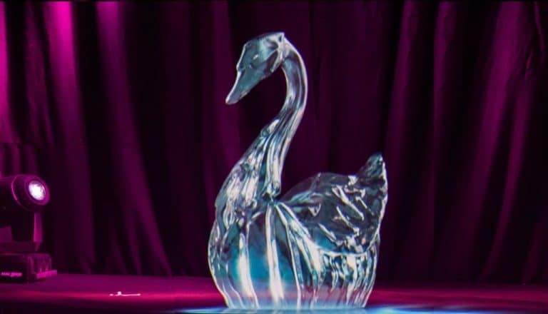 swan_pot